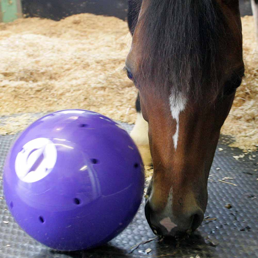 Balle de friandises Snak-a-Ball Violet