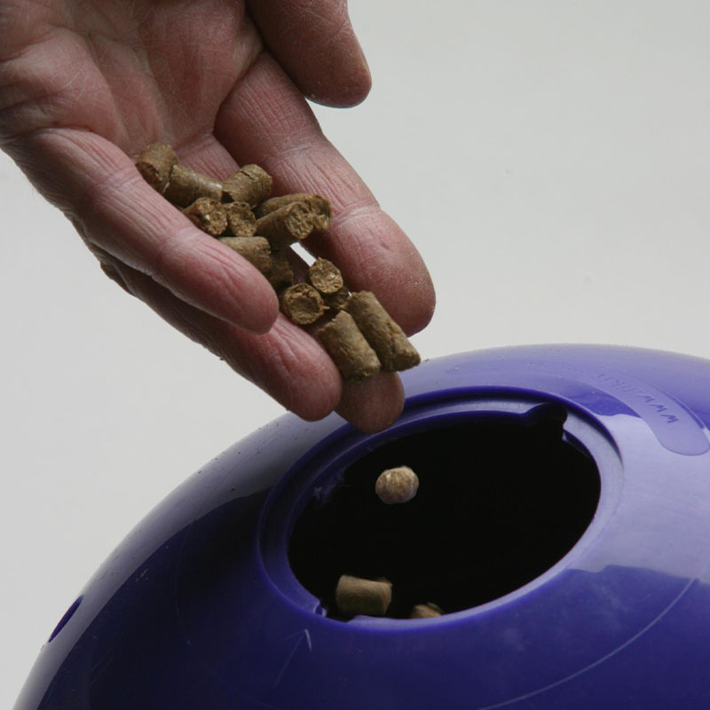 Balle de friandises Snak-a-Ball Violet