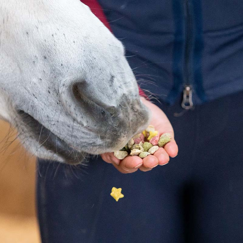Friandises pour chevaux Snaks Arc-en-ciel
