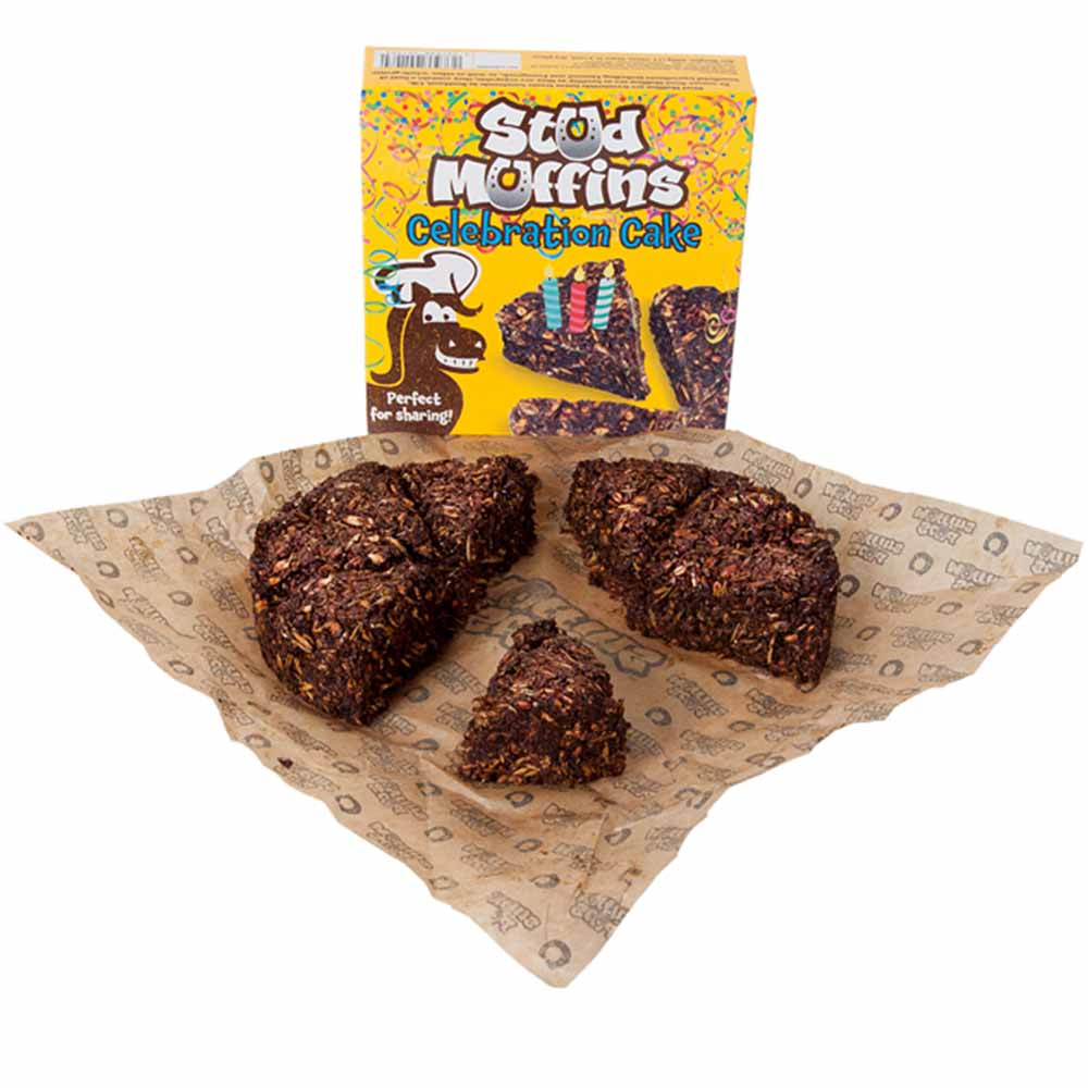 Friandise pour cheval Stud Muffins Gâteau de Célébration 600g