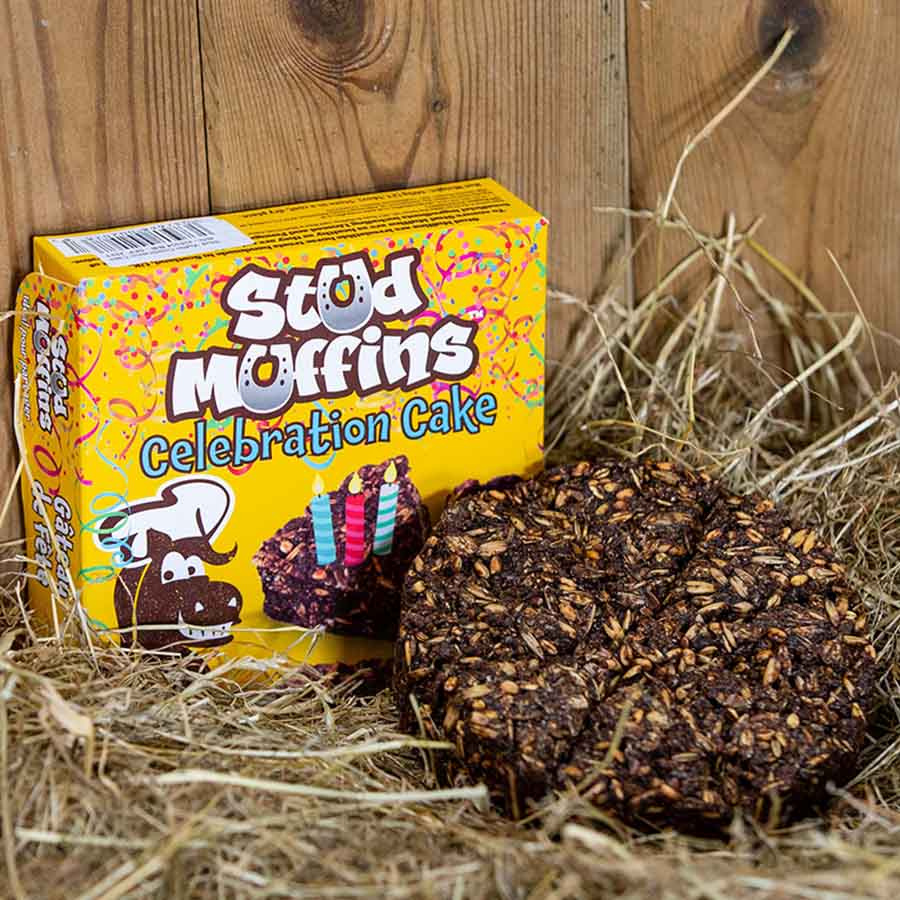 Friandise pour cheval Stud Muffins Gâteau de Célébration 600g