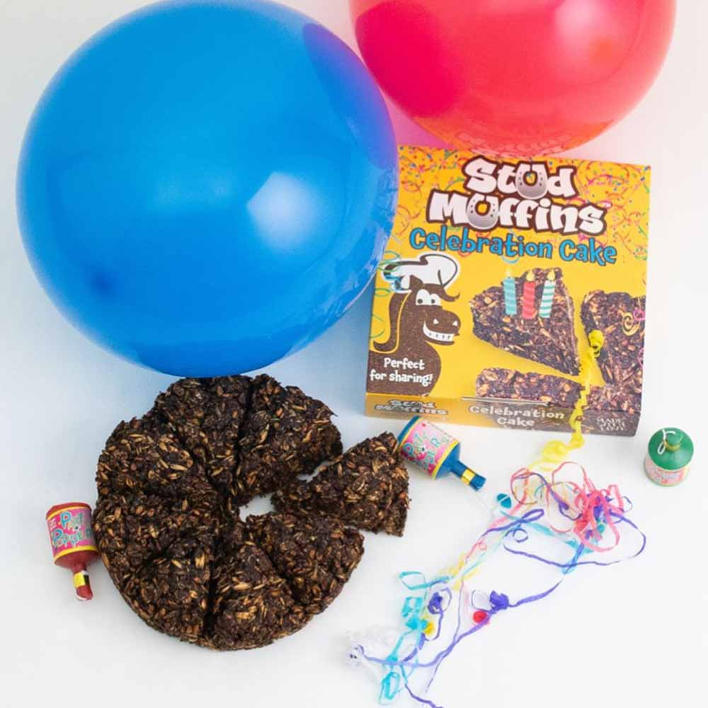 Friandise pour cheval Stud Muffins Gâteau de Célébration 600g