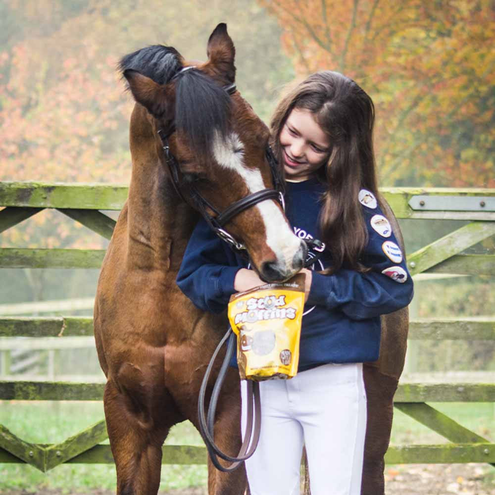 Friandises pour chevaux Stud Muffins