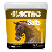 Salin Électro Salin Électro