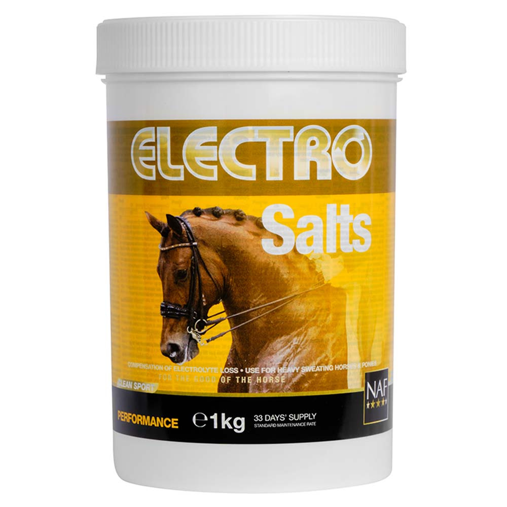 Salin Électro 