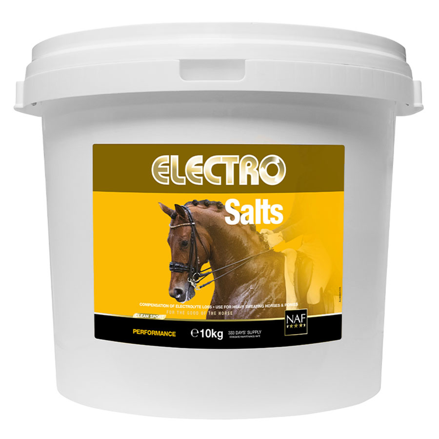 Salin Électro 