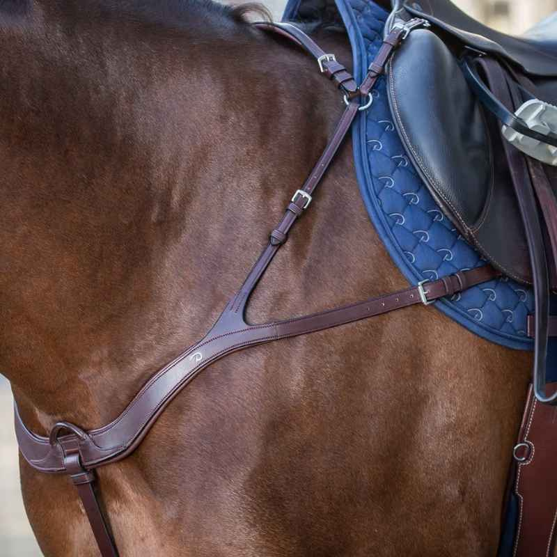 Collier de chasse Anatomical New English Collection Marron