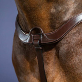 Collier de chasse Anatomical New English Collection Marron Collier de chasse Anatomical New English Collection Marron