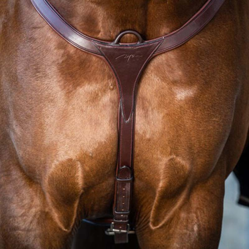 Sangle avec Martingale Longue NE Marron 