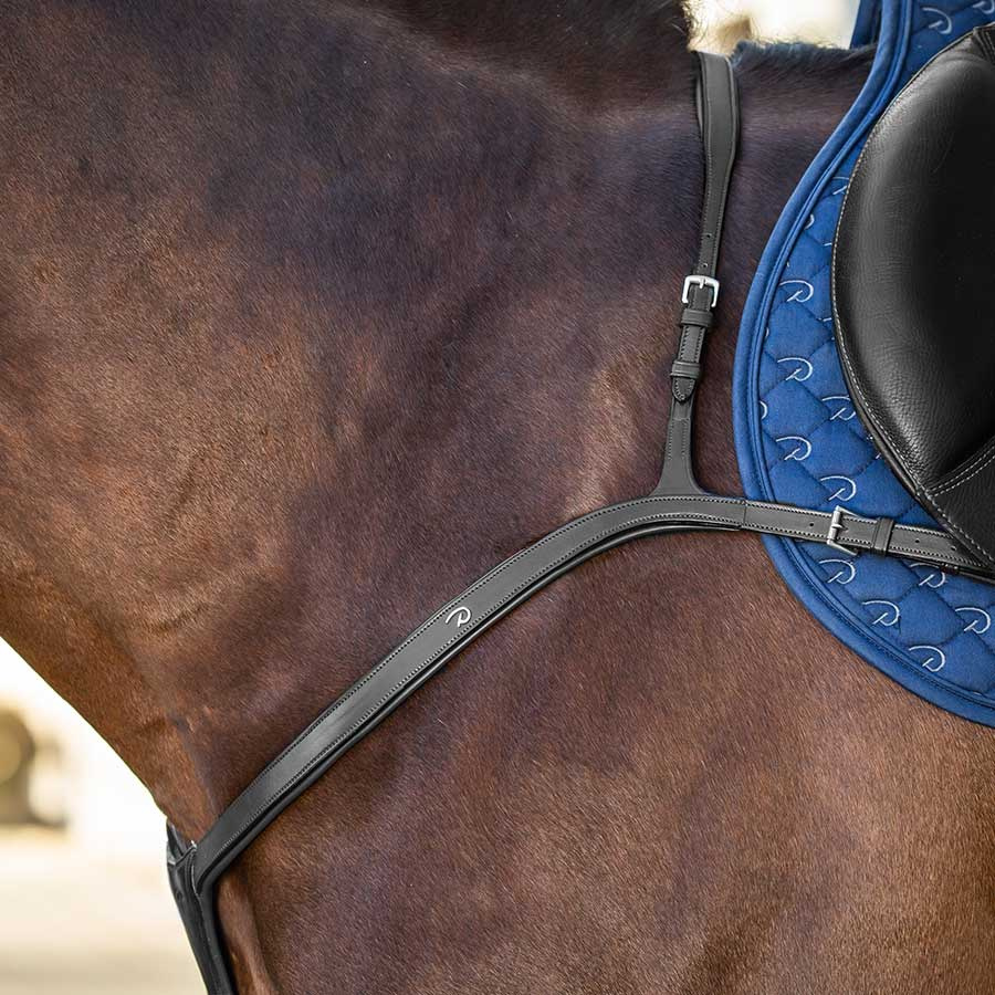 Sangle avec Martingale Longue NE Noir