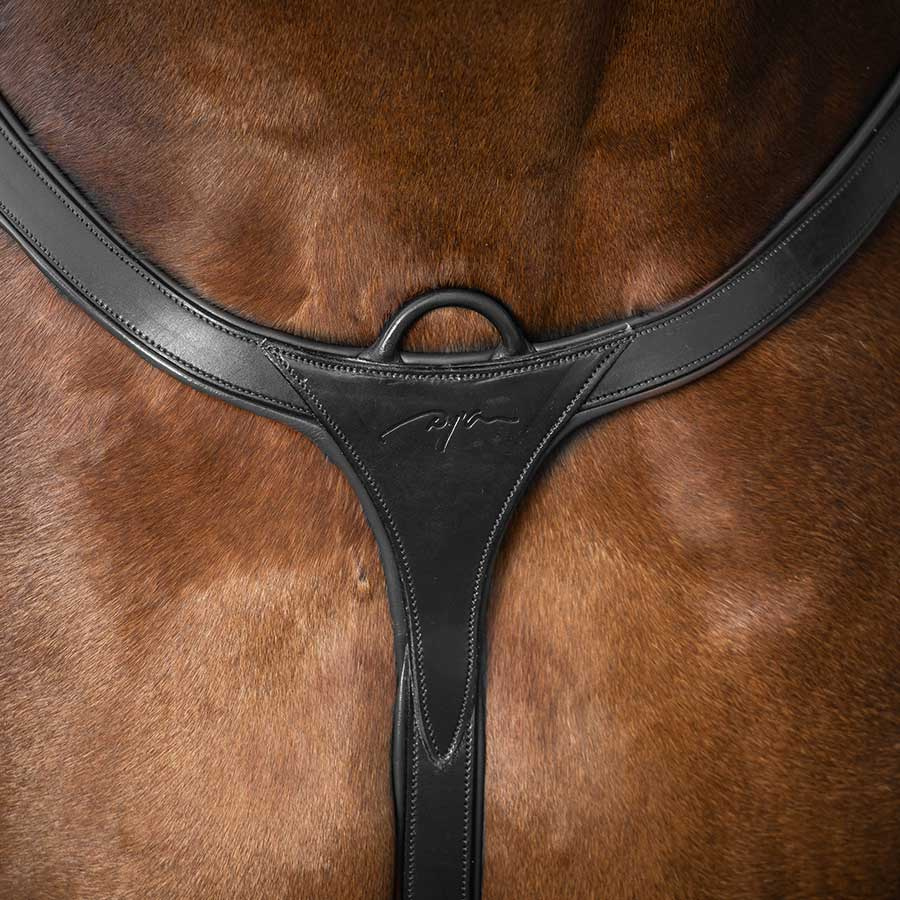 Sangle avec Martingale Longue NE Noir