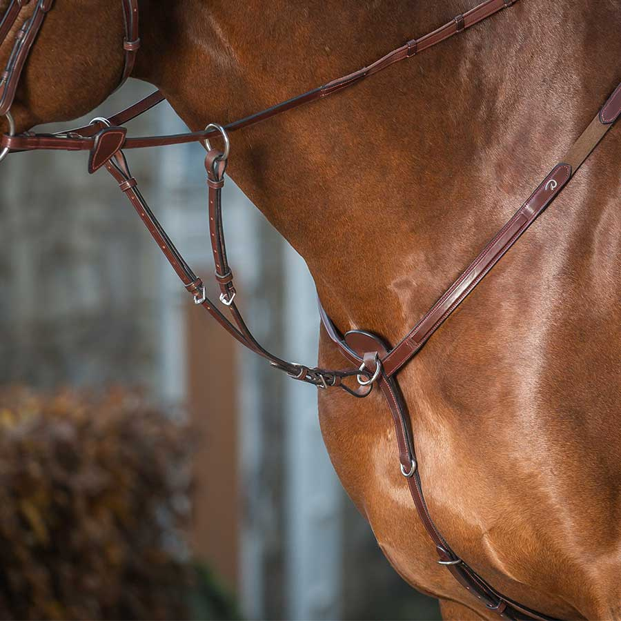 Martingale courte  Logo en E avec anneaux ouvrables Noir/Laiton Poney