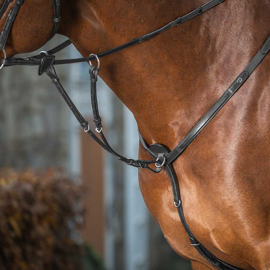 Martingale courte NE Marron Poney