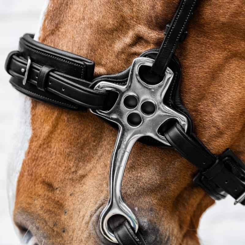 Hackamore New English Collection Noir