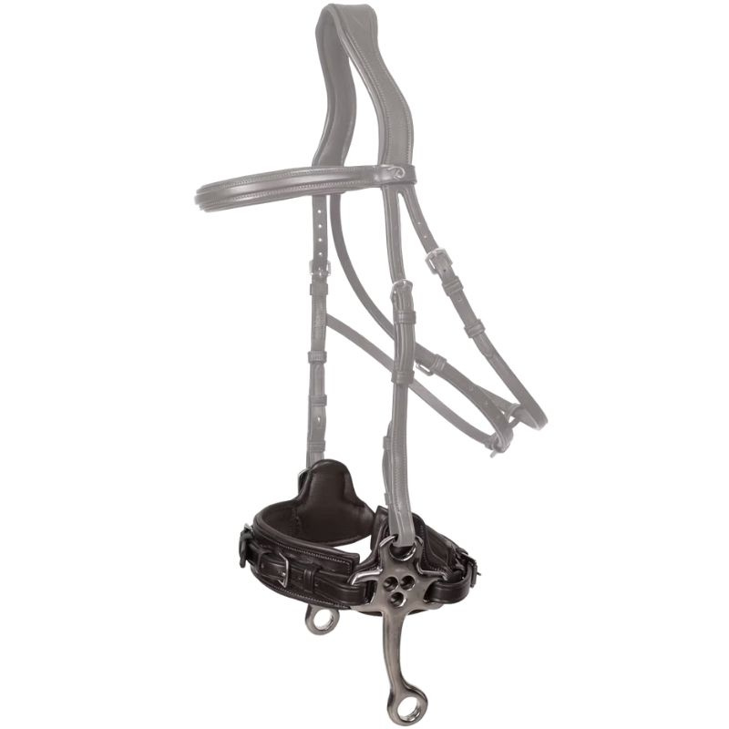 Hackamore New English Collection Noir