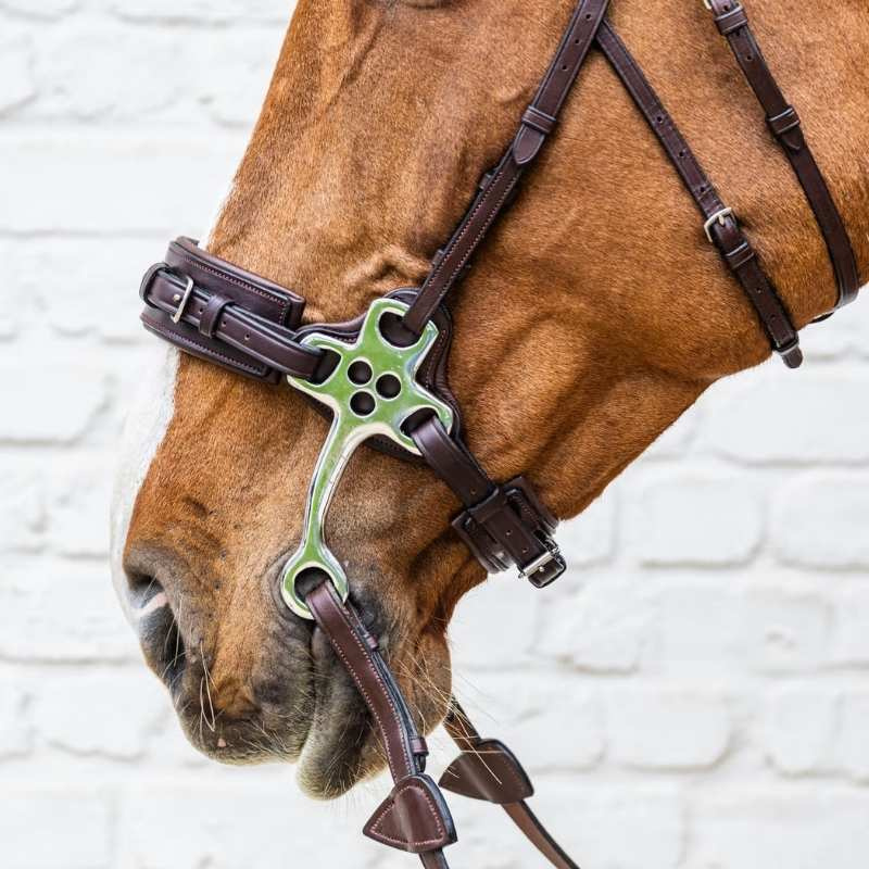Hackamore New English Collection Marron
