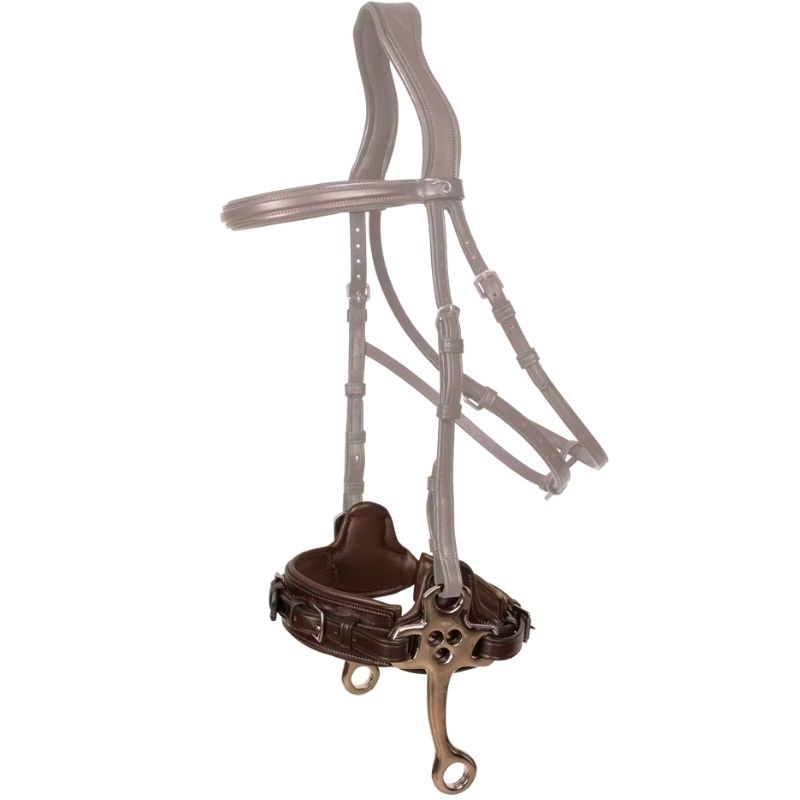 Hackamore New English Collection Marron