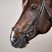 Bridon à Muserolle Allemande New English Collection Noir Bridon à Muserolle Allemande New English Collection Noir