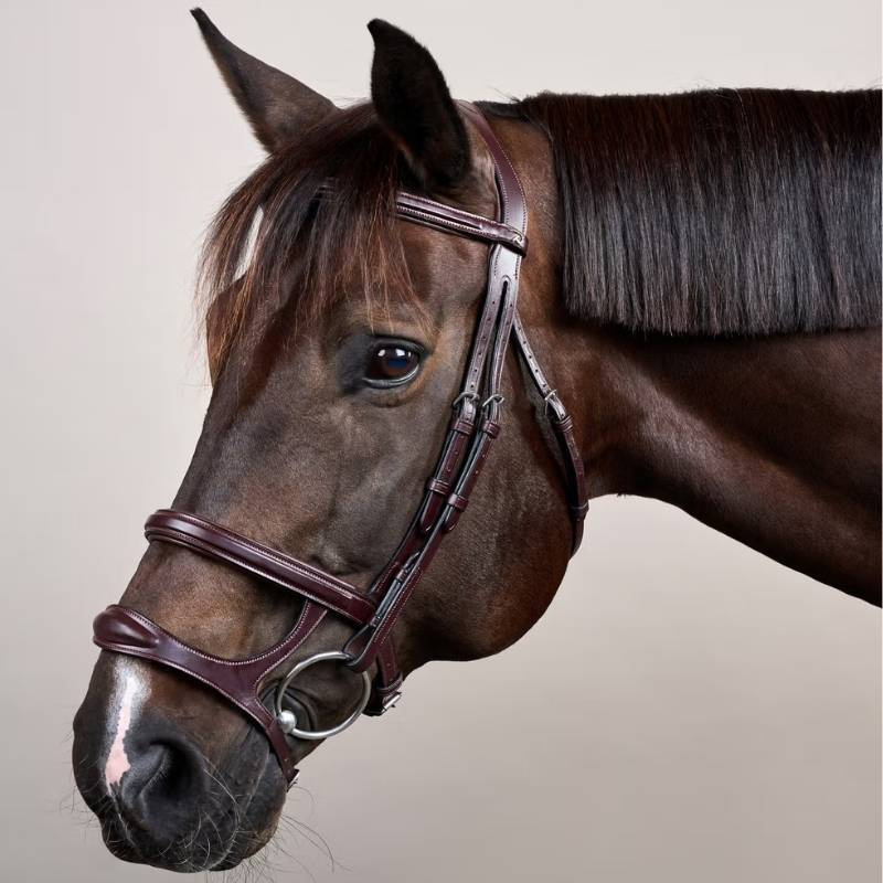 Bridon à Double Muserolle New English Collection Marron