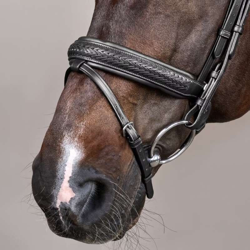 Bridon Plaited Pull Back New English Collection Noir