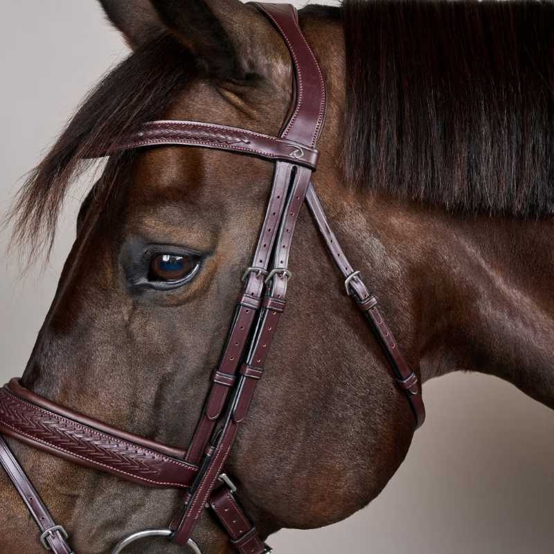 Bridon Plaited Pull Back New English Collection Marron