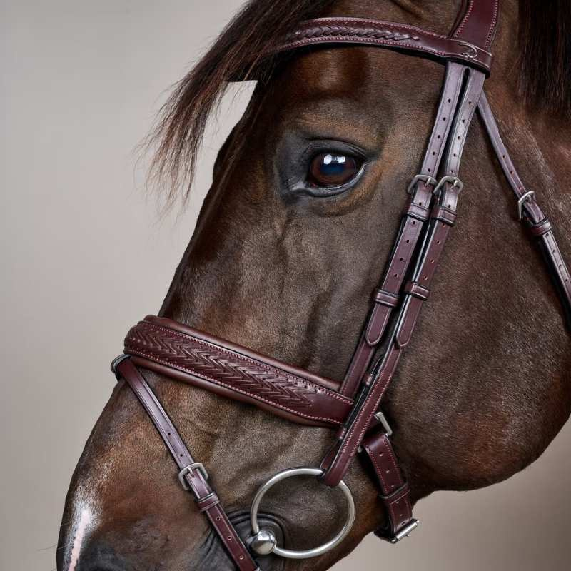 Bridon Plaited Pull Back New English Collection Marron