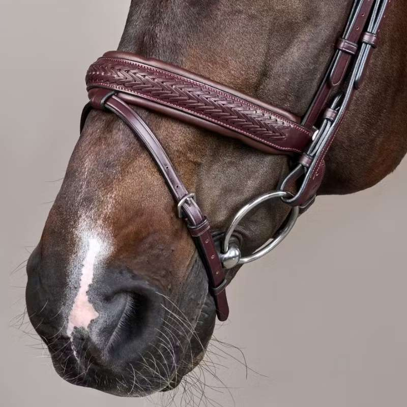 Bridon Plaited Pull Back New English Collection Marron