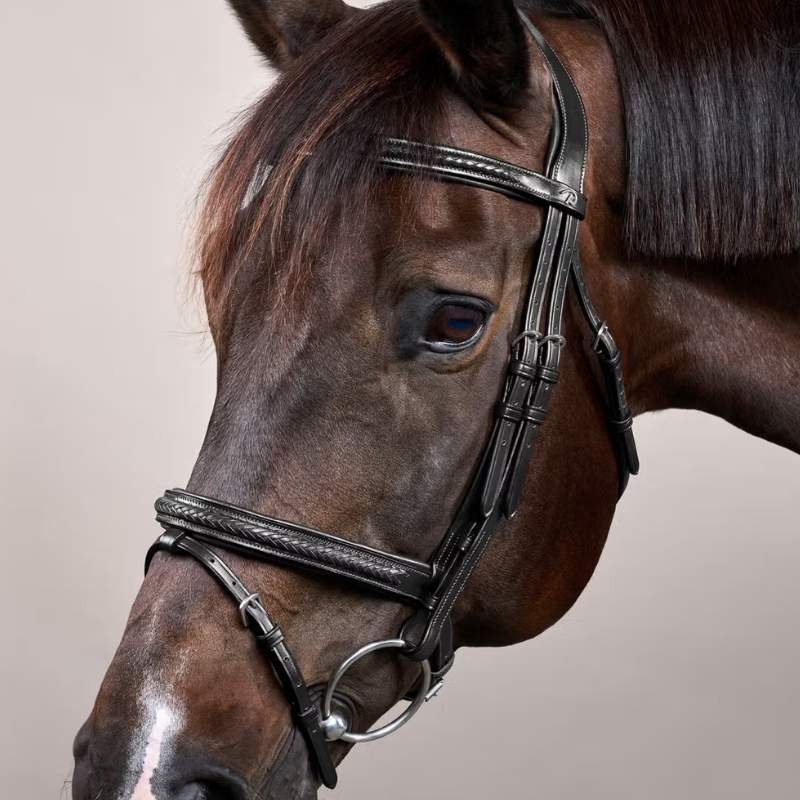 Bridon Muserolle combinée Plaited New English Collection Noir
