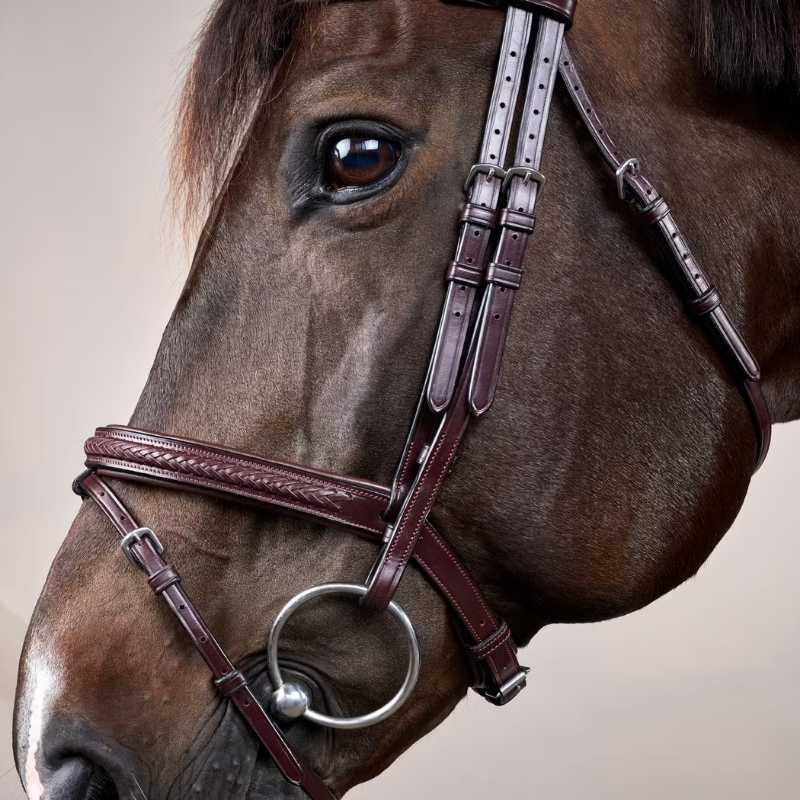 Bridon Muserolle combinée Plaited New English Collection Marron