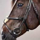 Bridon Muserolle croisée Plaited New English Collection Noir Bridon Muserolle croisée Plaited New English Collection Noir