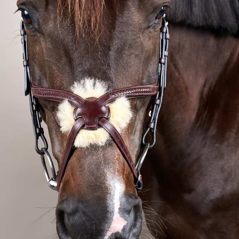 Bridon Muserolle croisée Plaited New English Collection Marron