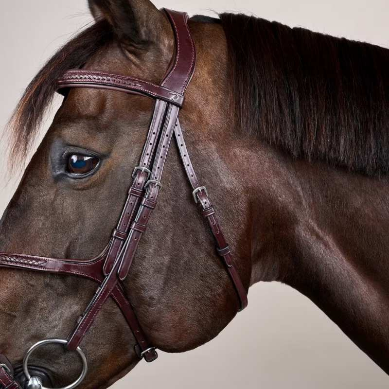 Bridon Muserolle croisée Plaited New English Collection Marron