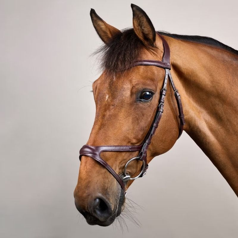 Bridon anatomique X-Fit NE marron
