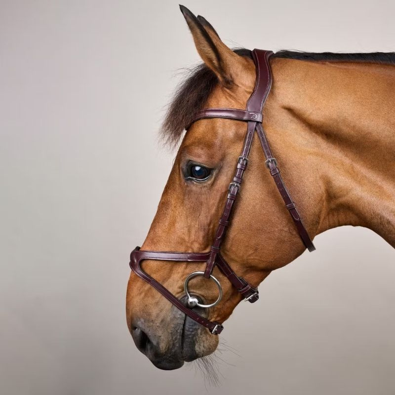Bridon anatomique X-Fit NE marron
