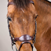 Bridon D Motion New English Collection Marron Bridon D Motion New English Collection Marron