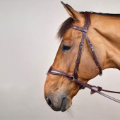 Bridon D Motion New English Collection Marron Bridon D Motion New English Collection Marron