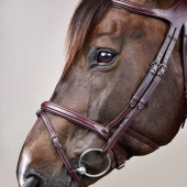 Bridon Difference New English Collection Marron Bridon Difference New English Collection Marron