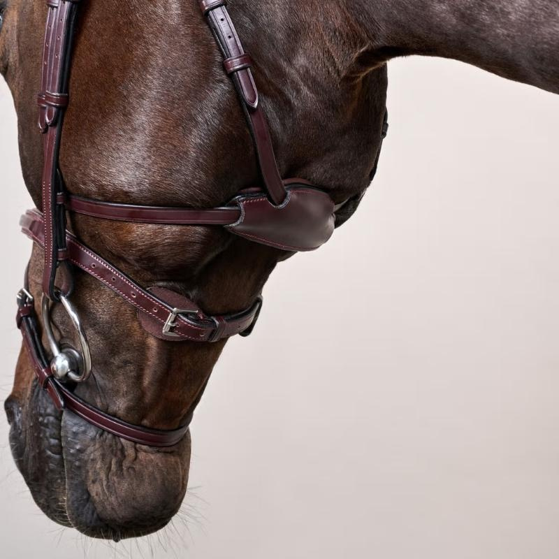 Bridon Difference New English Collection Marron