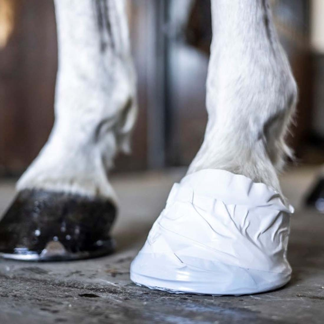 Ruban pour sabot et vétérinaire Blanc