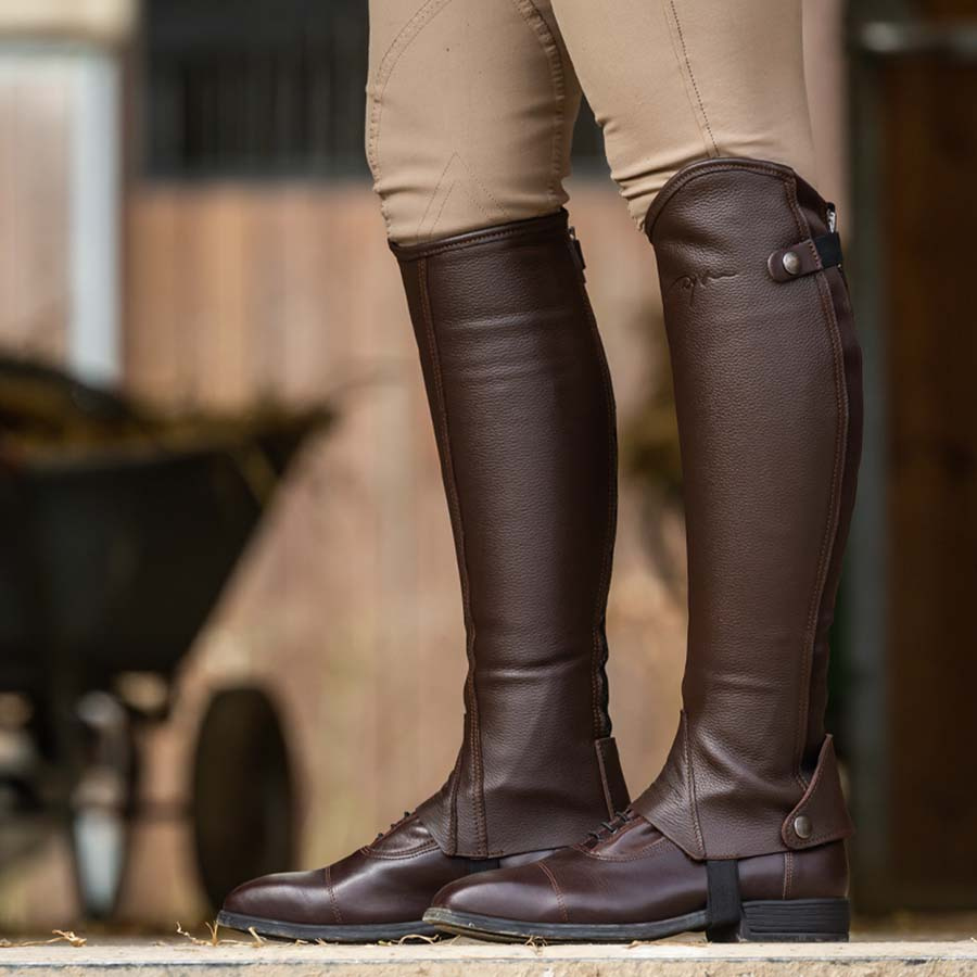 Chaps Classic Marron