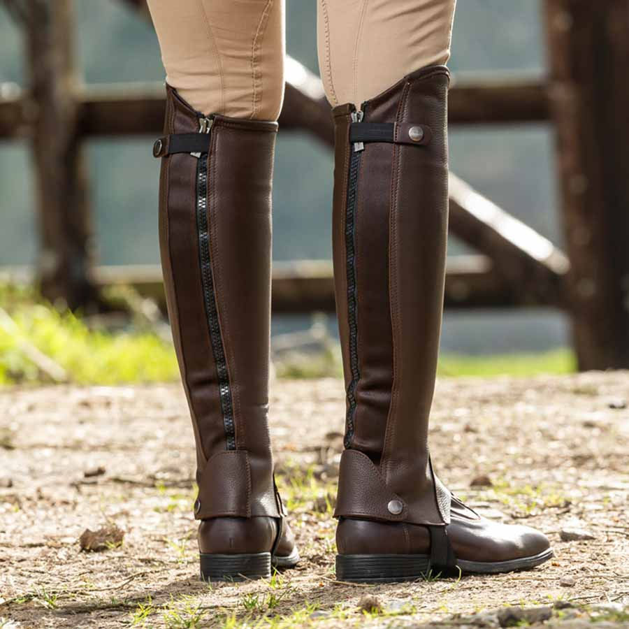 Chaps Classic Marron