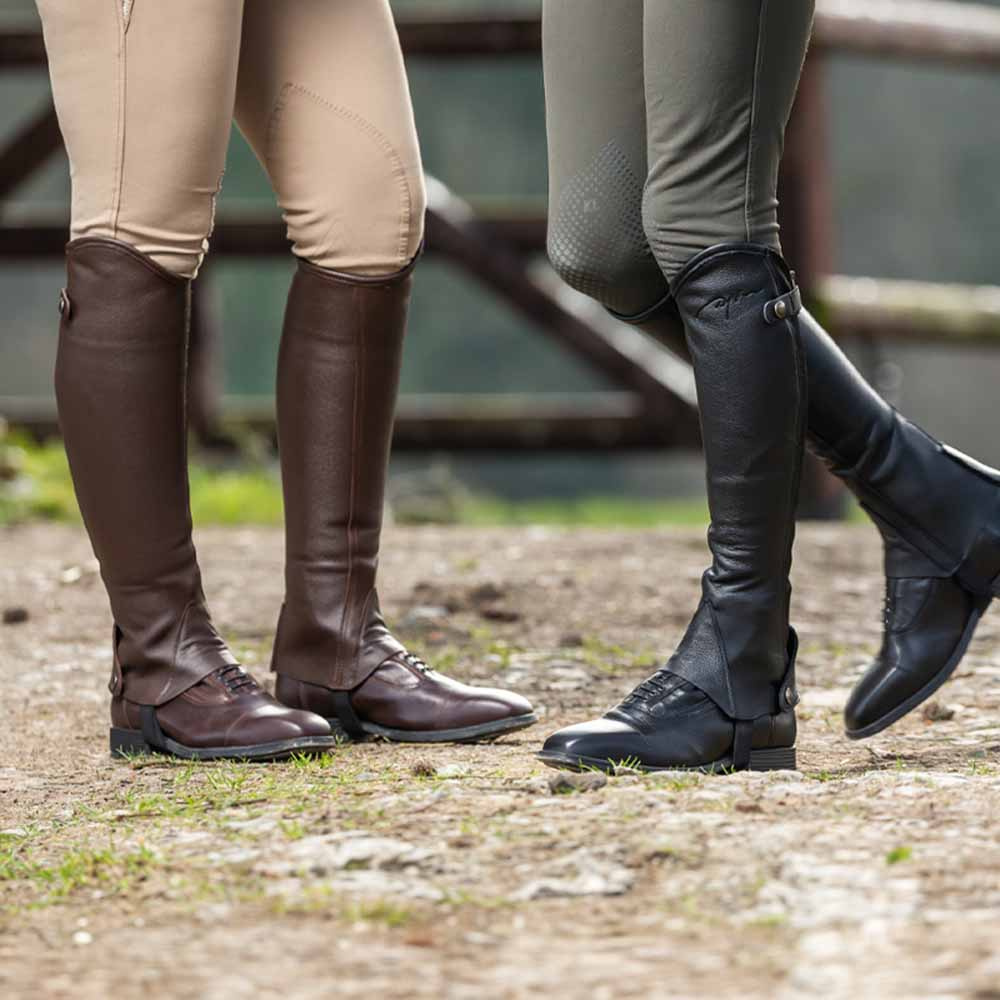 Chaps Classic Marron