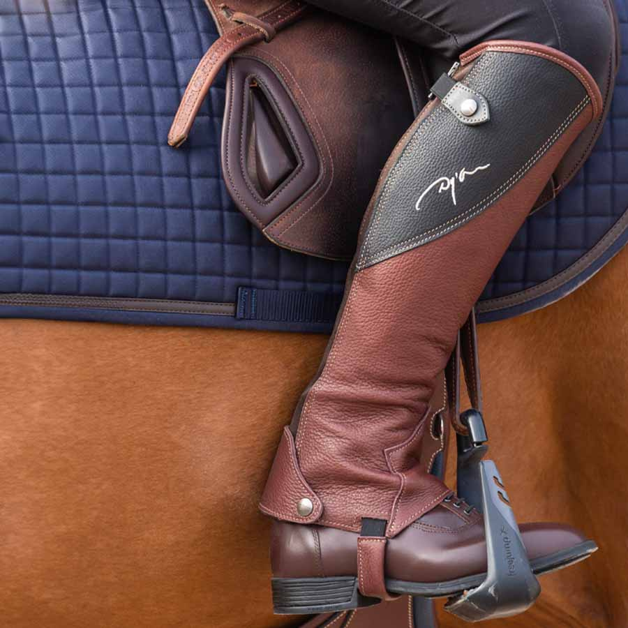 Chaps Original Marron