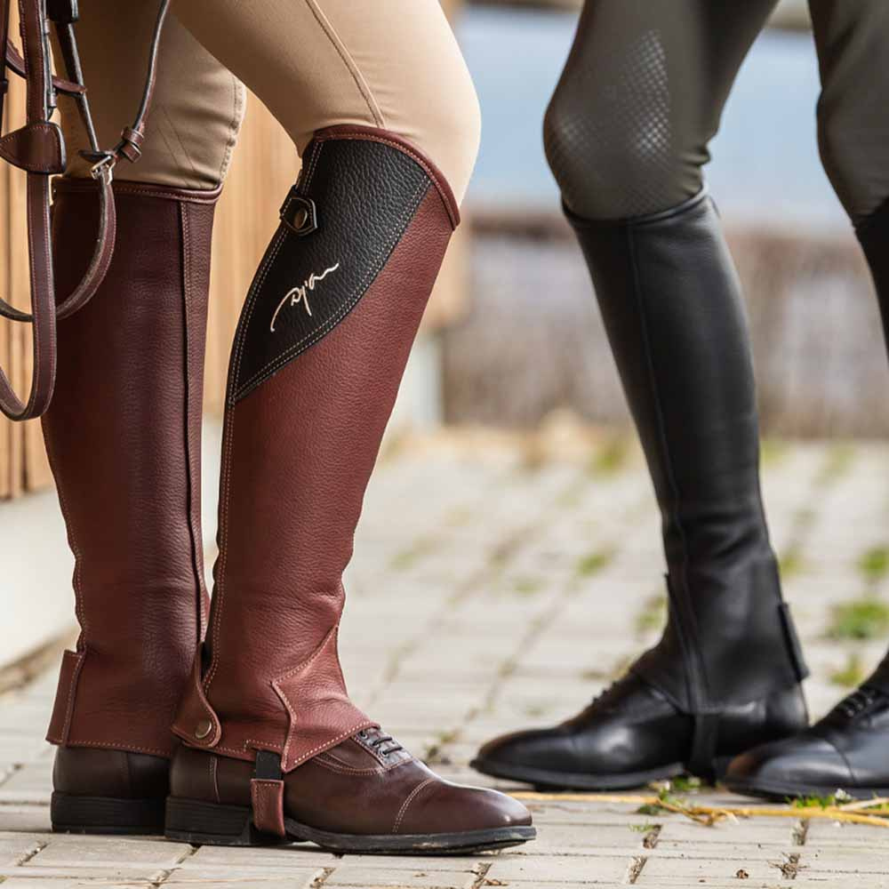 Chaps Original Marron