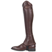 Chaps Classic Show Marron Chaps Classic Show Marron
