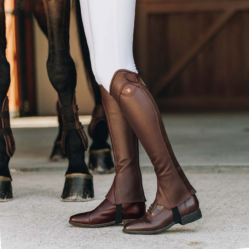 Chaps Classic Show Marron