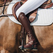 Chaps Classic Show Marron Chaps Classic Show Marron