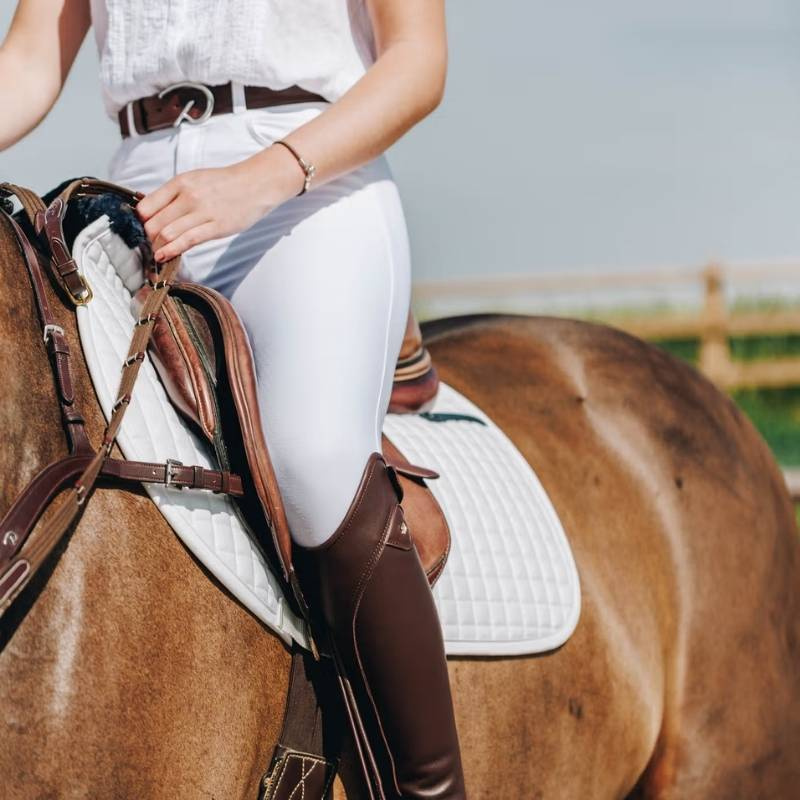Ceinture en cuir Classic D Marron