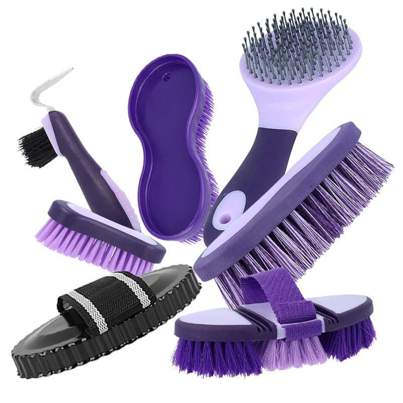 Grand kit de brossage Everyday Violet