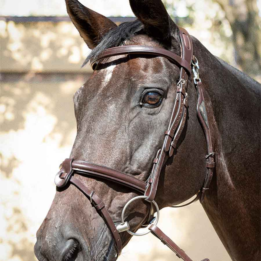 Bridon Ready To Ride marron